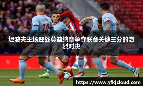 mk体育官网入口