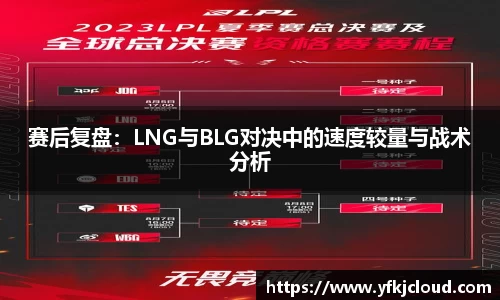 mk体育官网入口